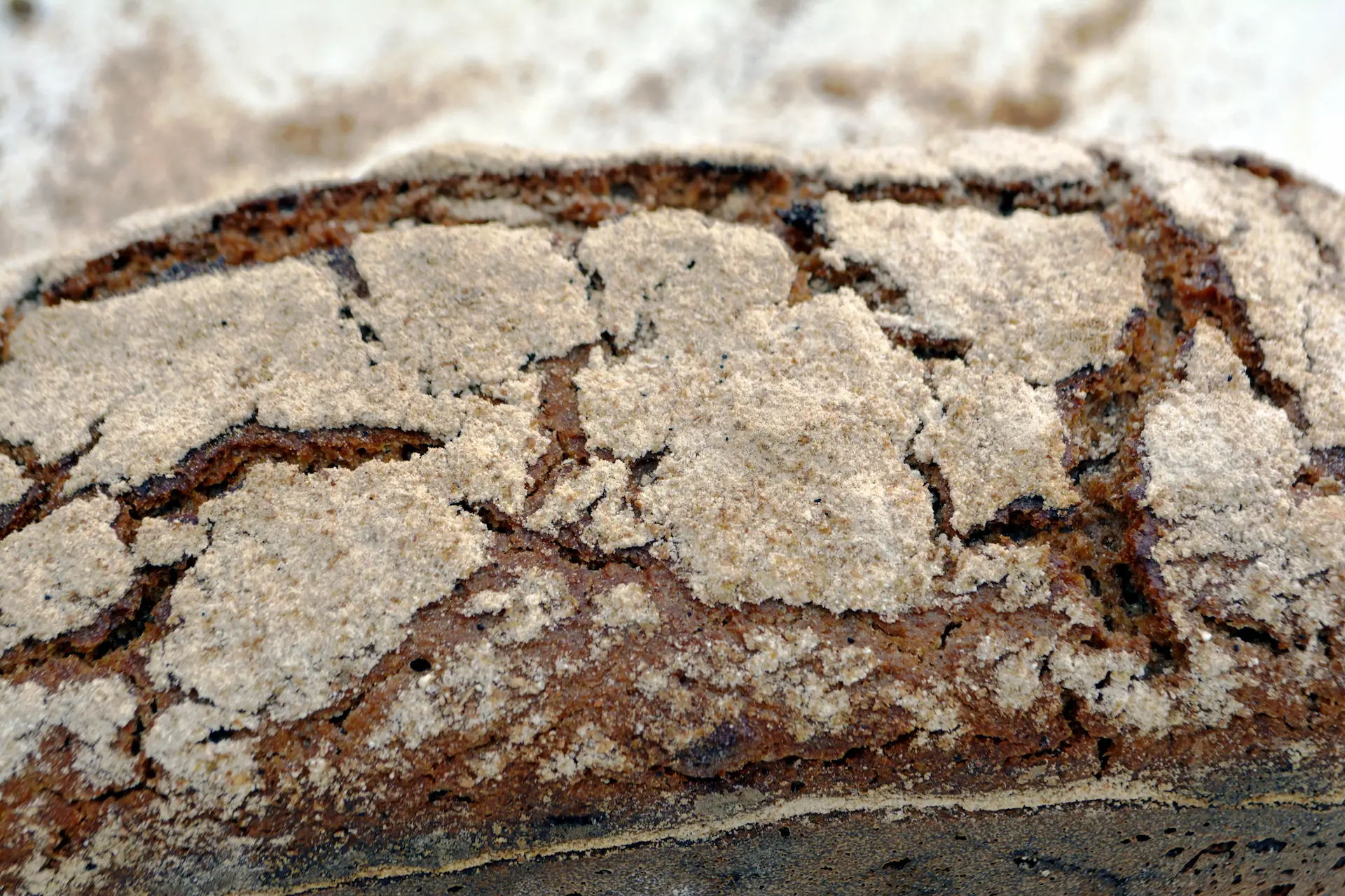Whole Rye Sourdough Loaf - Image 3