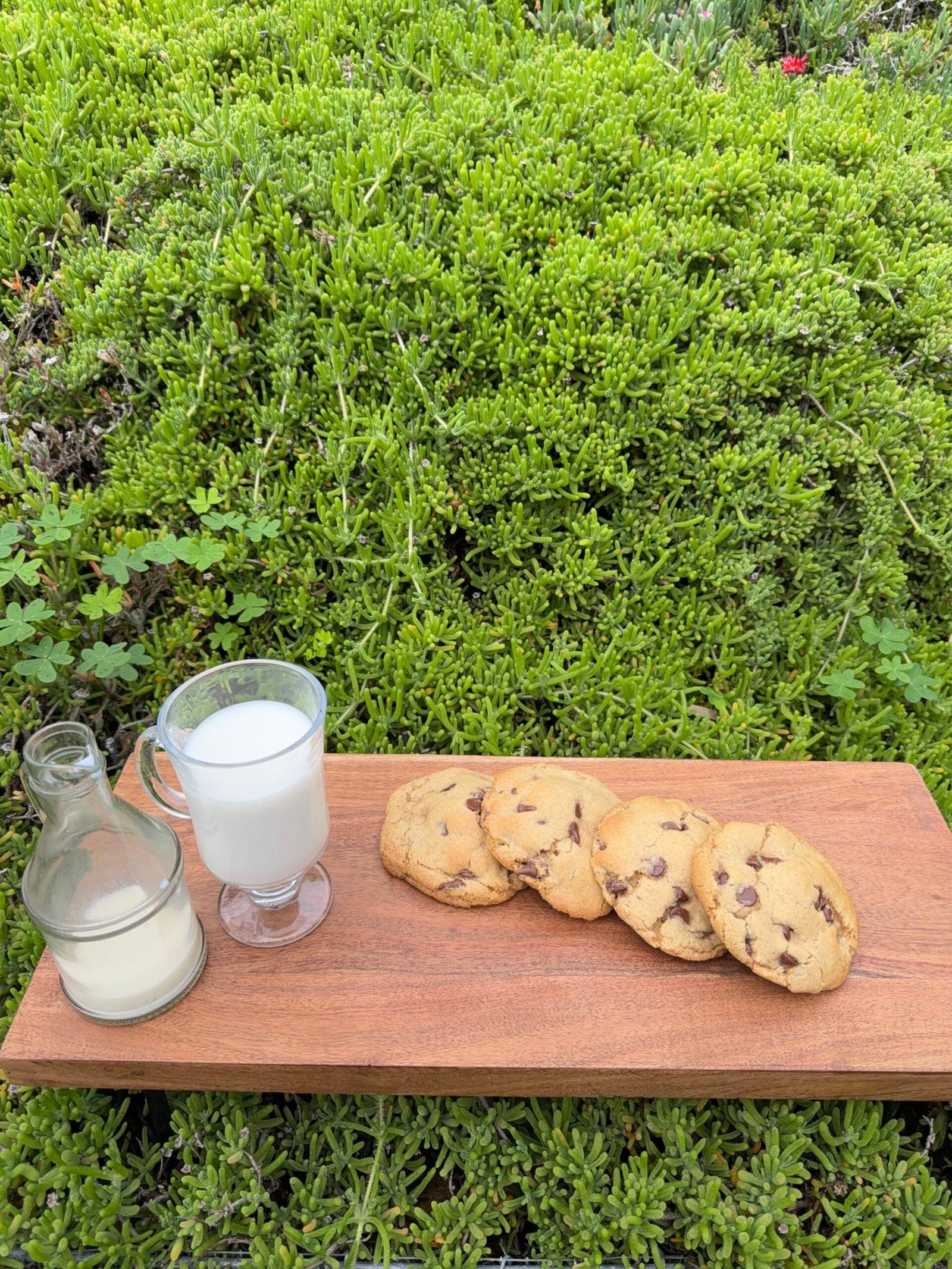 Organic Sourdough Chocolate Chip Cookies - Image 2