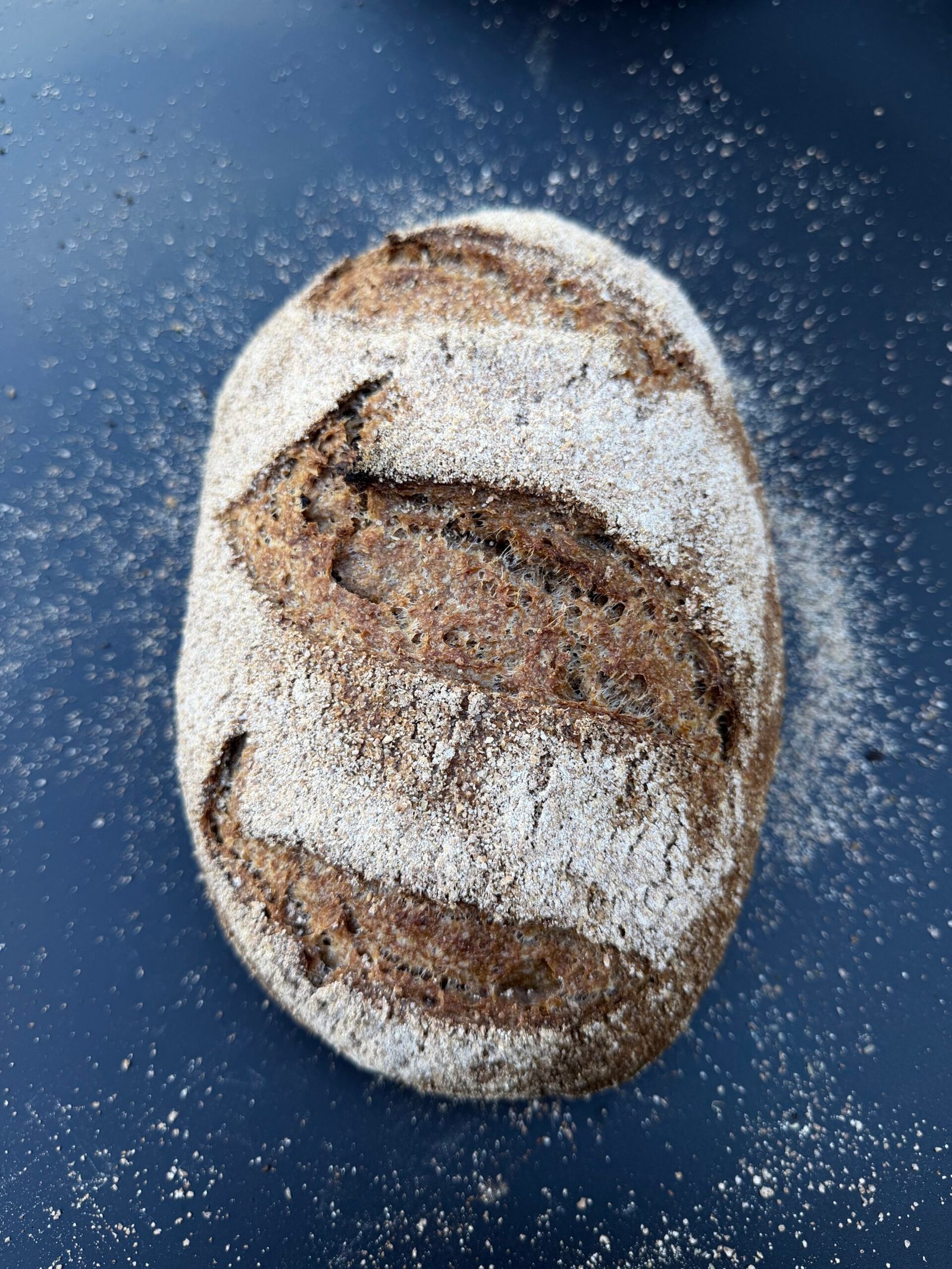 Whole Wheat Organic Sourdough Bread