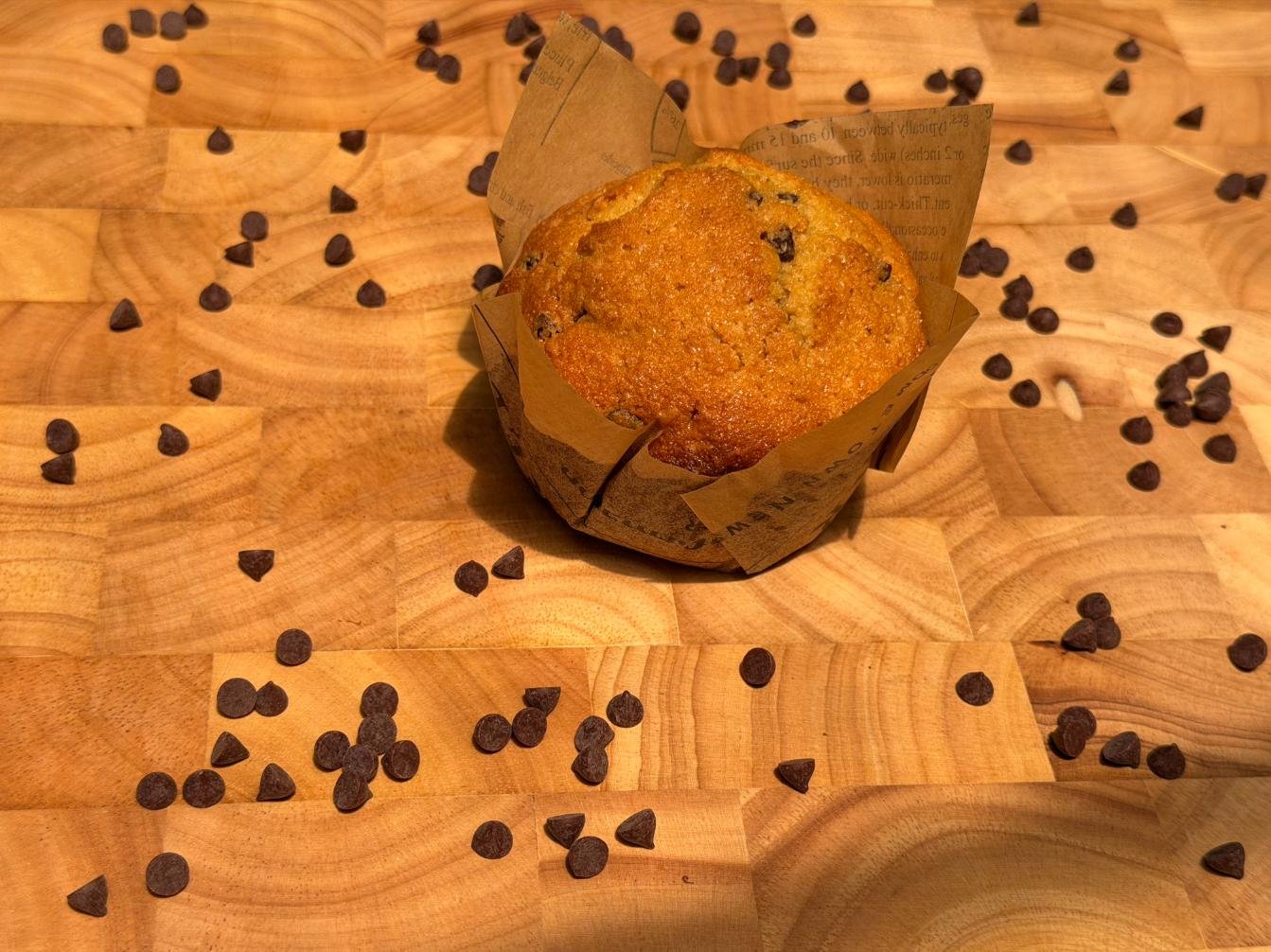 Chocolate Chip Sourdough Whole Wheat Muffins
