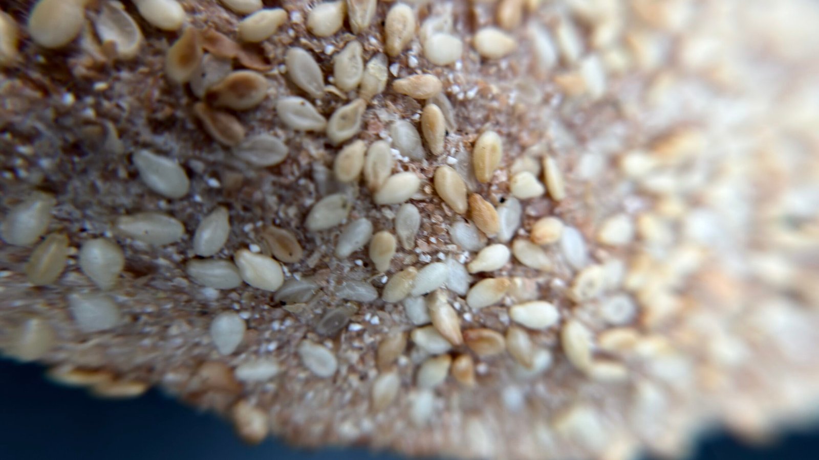 Sourdough Boat Shape bread - Image 2