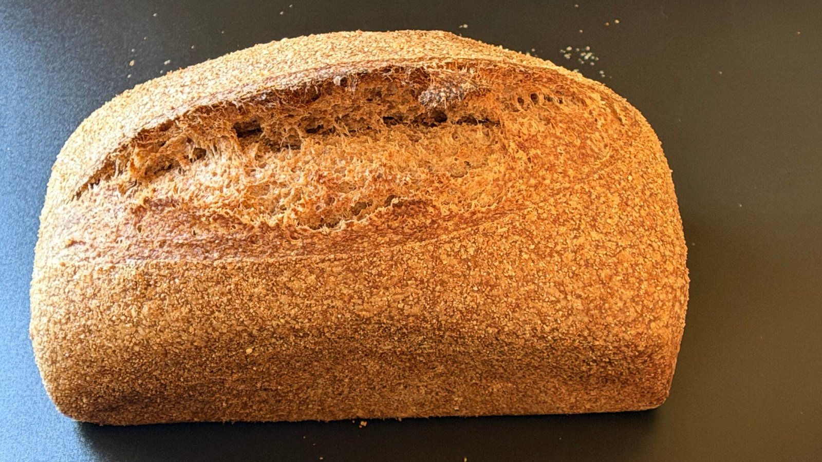 Whole Wheat Organic Sourdough Sandwich Loaf