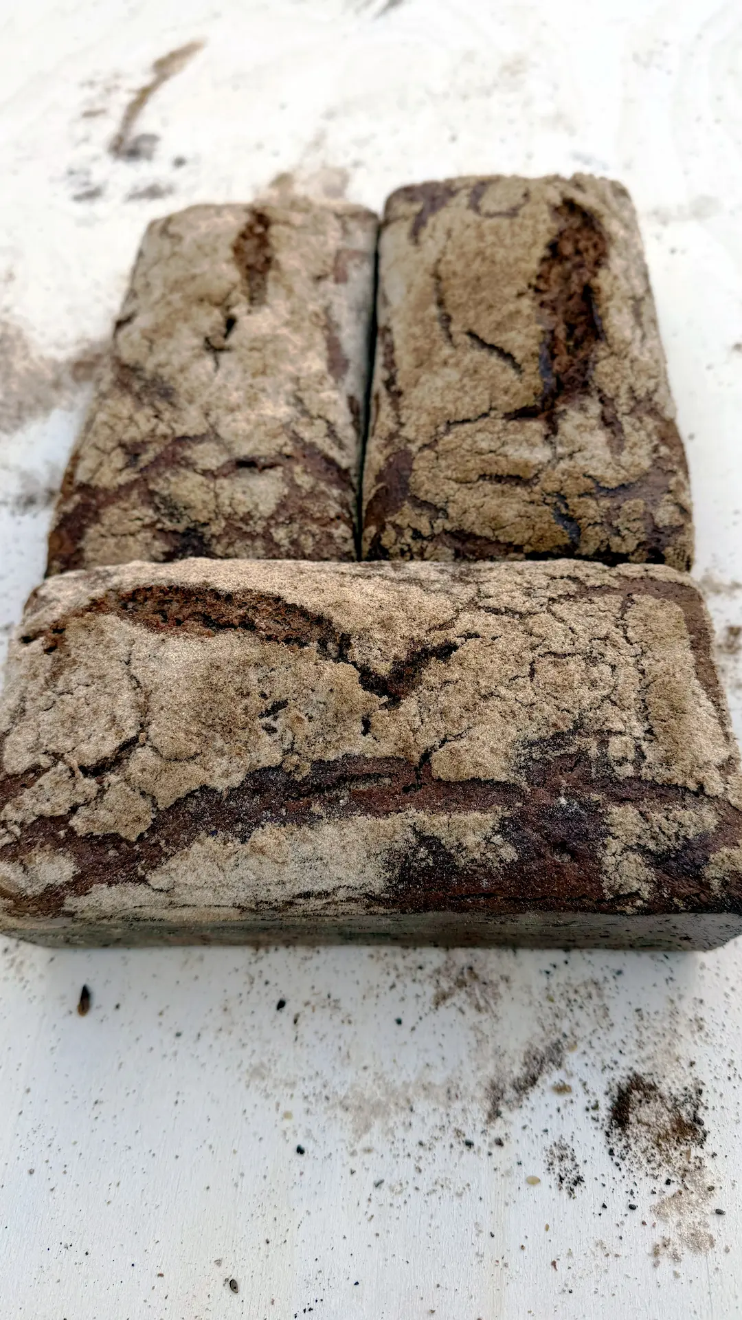 Emmer Organic Whole Wheat Sourdough Loaf - Image 3