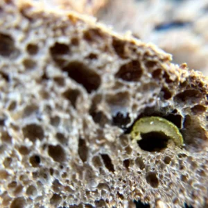 Savory Sourdough Bread